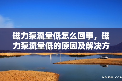 磁力泵流量低怎么回事，磁力泵流量低的原因及解决方法