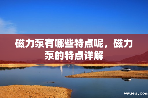 磁力泵有哪些特点呢，磁力泵的特点详解