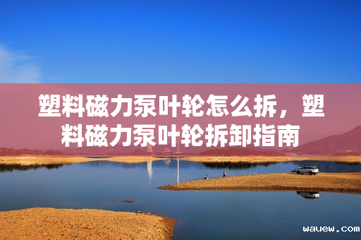 塑料磁力泵叶轮怎么拆，塑料磁力泵叶轮拆卸指南