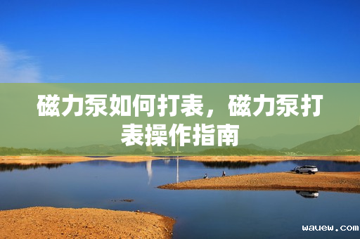 磁力泵如何打表，磁力泵打表操作指南