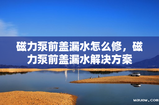 磁力泵前盖漏水怎么修，磁力泵前盖漏水解决方案