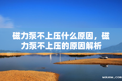 磁力泵不上压什么原因，磁力泵不上压的原因解析