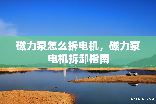 磁力泵怎么拆电机，磁力泵电机拆卸指南