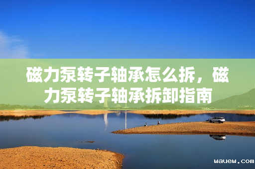 磁力泵转子轴承怎么拆，磁力泵转子轴承拆卸指南