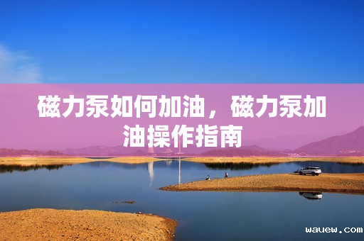 磁力泵如何加油，磁力泵加油操作指南