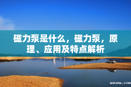 磁力泵是什么，磁力泵，原理、应用及特点解析