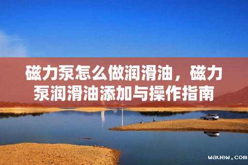 磁力泵怎么做润滑油，磁力泵润滑油添加与操作指南