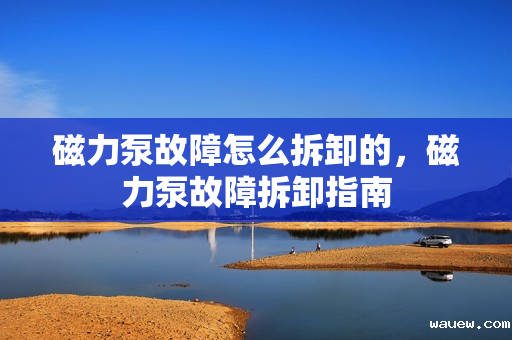 磁力泵故障怎么拆卸的，磁力泵故障拆卸指南