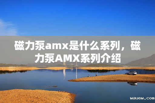 磁力泵amx是什么系列，磁力泵AMX系列介绍