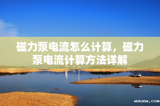 磁力泵电流怎么计算，磁力泵电流计算方法详解