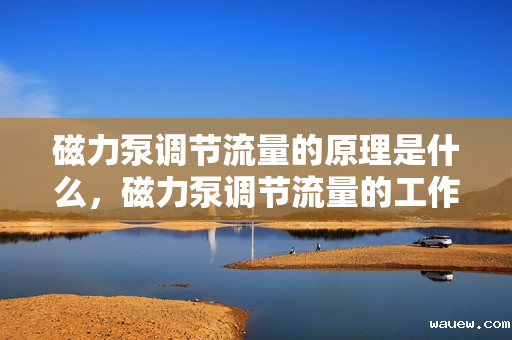 磁力泵调节流量的原理是什么，磁力泵调节流量的工作原理详解