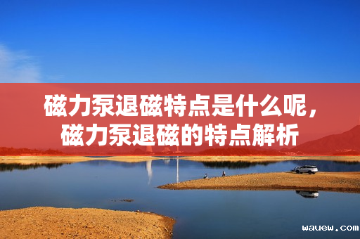 磁力泵退磁特点是什么呢，磁力泵退磁的特点解析