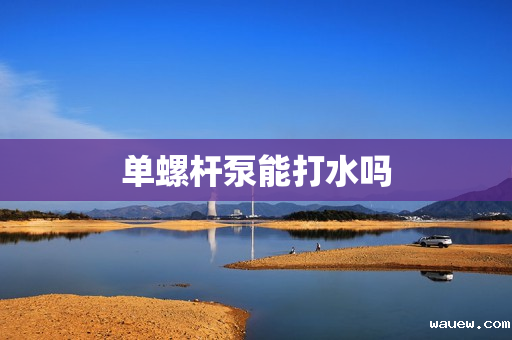 单螺杆泵能打水吗