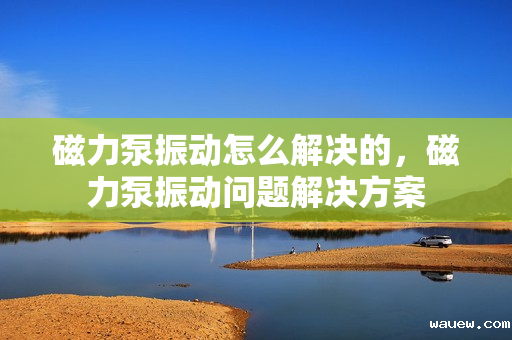 磁力泵振动怎么解决的，磁力泵振动问题解决方案