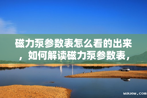 磁力泵参数表怎么看的出来，如何解读磁力泵参数表，一份简明指南