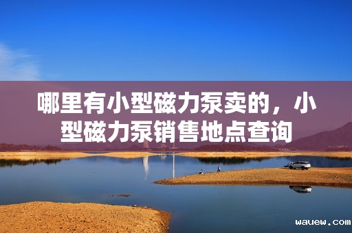哪里有小型磁力泵卖的，小型磁力泵销售地点查询