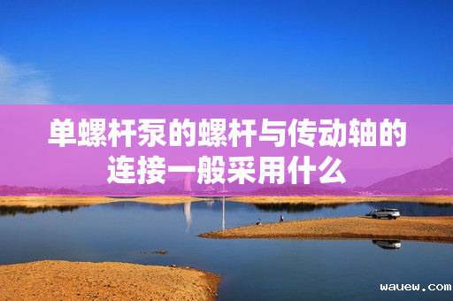 单螺杆泵的螺杆与传动轴的连接一般采用什么