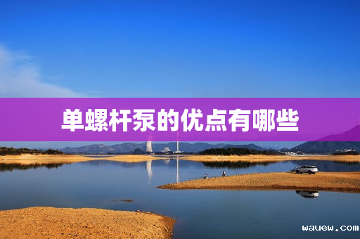 单螺杆泵的优点有哪些