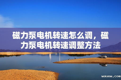 磁力泵电机转速怎么调，磁力泵电机转速调整方法