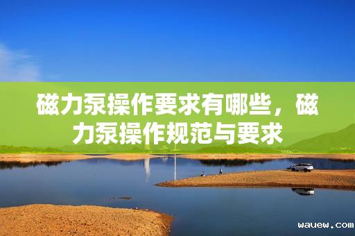 磁力泵操作要求有哪些，磁力泵操作规范与要求