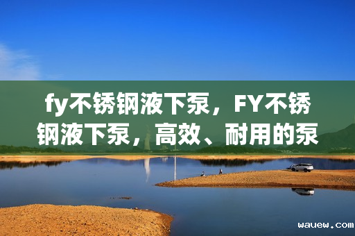 fy不锈钢液下泵，FY不锈钢液下泵，高效、耐用的泵送解决方案