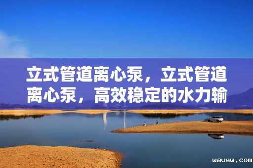 立式管道离心泵，立式管道离心泵，高效稳定的水力输送解决方案