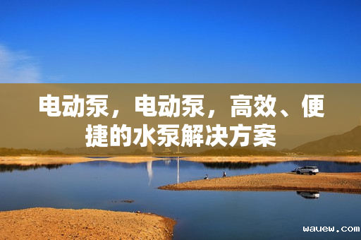 电动泵，电动泵，高效、便捷的水泵解决方案