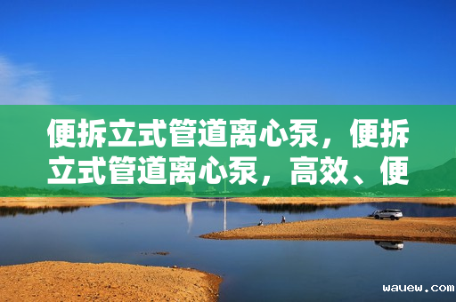 便拆立式管道离心泵，便拆立式管道离心泵，高效、便捷的水处理解决方案