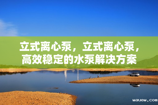 立式离心泵，立式离心泵，高效稳定的水泵解决方案