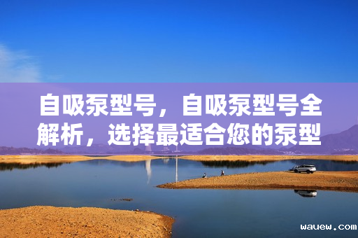 自吸泵型号，自吸泵型号全解析，选择最适合您的泵型