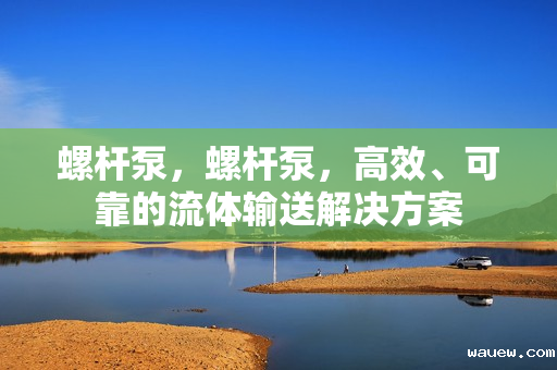 螺杆泵，螺杆泵，高效、可靠的流体输送解决方案