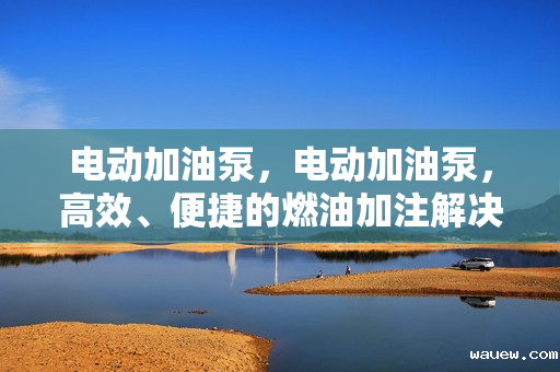 电动加油泵，电动加油泵，高效、便捷的燃油加注解决方案
