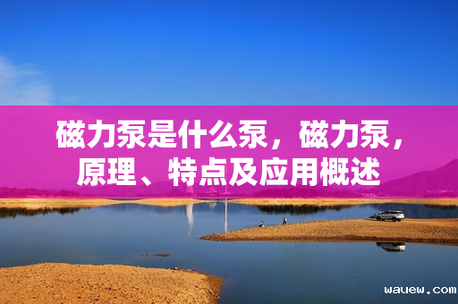 磁力泵是什么泵，磁力泵，原理、特点及应用概述