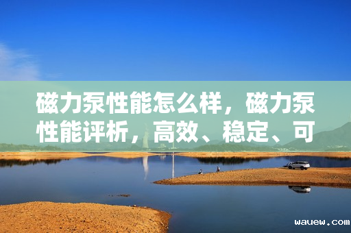 磁力泵性能怎么样，磁力泵性能评析，高效、稳定、可靠的动力传输解决方案