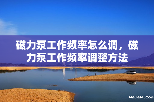 磁力泵工作频率怎么调，磁力泵工作频率调整方法