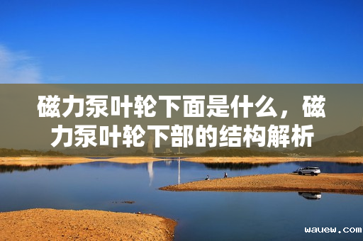 磁力泵叶轮下面是什么，磁力泵叶轮下部的结构解析