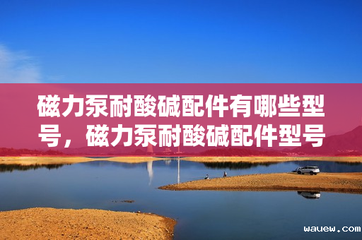 磁力泵耐酸碱配件有哪些型号，磁力泵耐酸碱配件型号概览