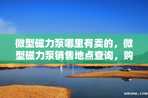 微型磁力泵哪里有卖的，微型磁力泵销售地点查询，购买指南与推荐