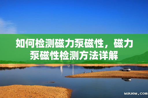 如何检测磁力泵磁性，磁力泵磁性检测方法详解
