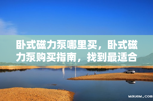 卧式磁力泵哪里买，卧式磁力泵购买指南，找到最适合你的购买渠道