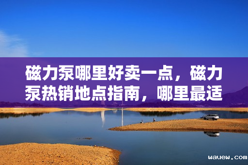磁力泵哪里好卖一点，磁力泵热销地点指南，哪里最适合销售磁力泵？