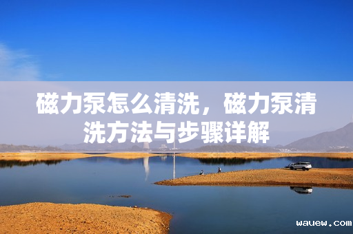 磁力泵怎么清洗，磁力泵清洗方法与步骤详解