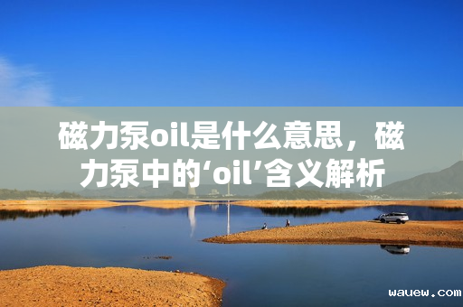 磁力泵oil是什么意思，磁力泵中的‘oil’含义解析