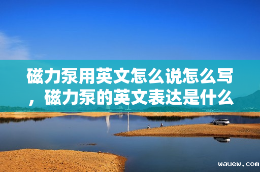 磁力泵用英文怎么说怎么写，磁力泵的英文表达是什么？