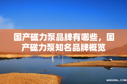 国产磁力泵品牌有哪些，国产磁力泵知名品牌概览