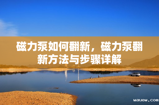 磁力泵如何翻新，磁力泵翻新方法与步骤详解