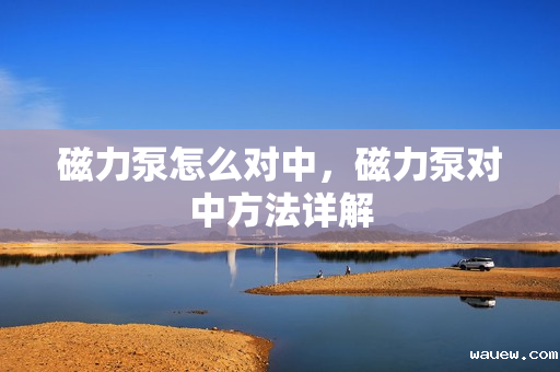 磁力泵怎么对中，磁力泵对中方法详解