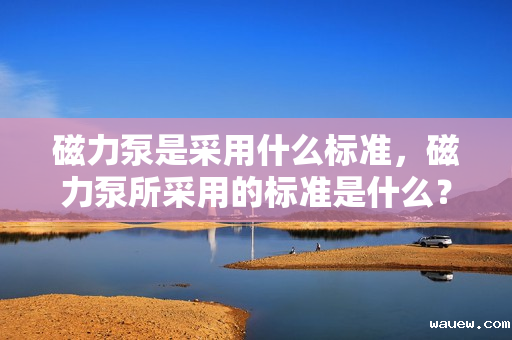 磁力泵是采用什么标准，磁力泵所采用的标准是什么？