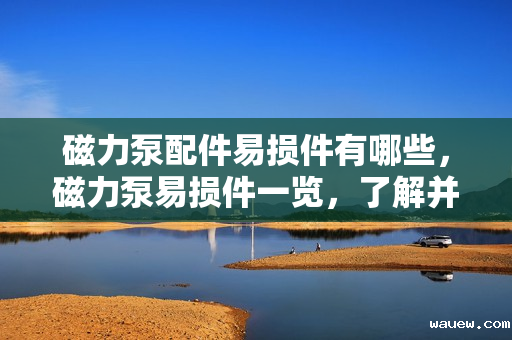 磁力泵配件易损件有哪些，磁力泵易损件一览，了解并维护您的磁力泵配件