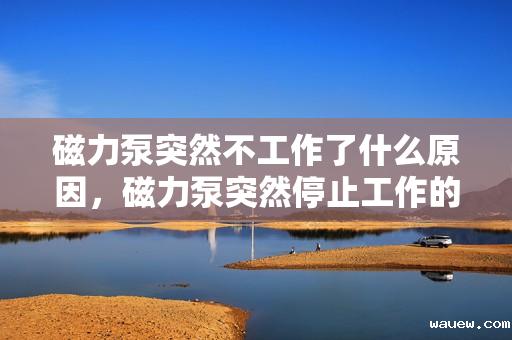 磁力泵突然不工作了什么原因，磁力泵突然停止工作的可能原因解析